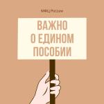 О едином пособии