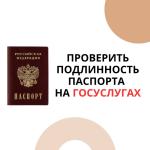 На Госуслугах появился сервис по проверке подлинности и действительности паспорта